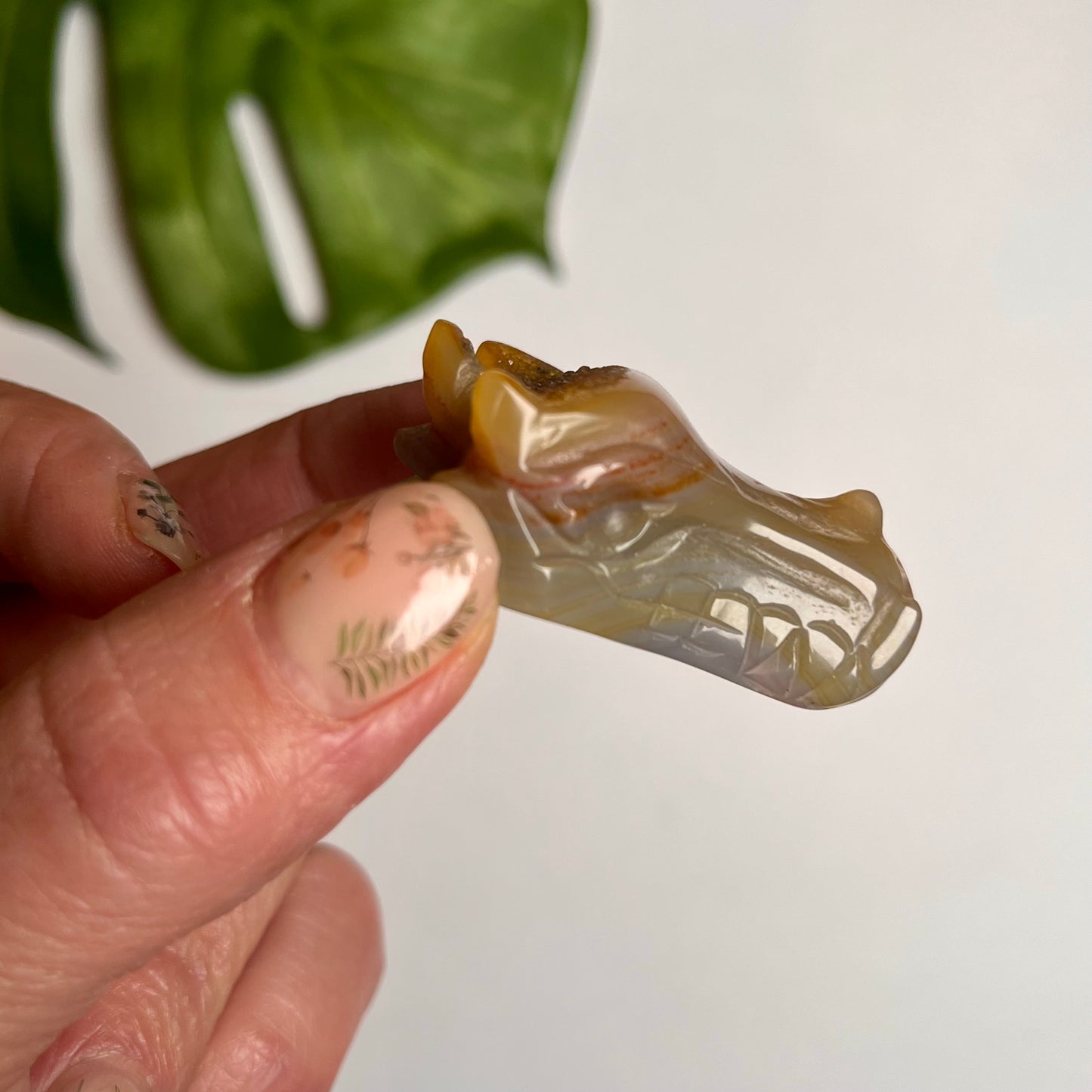 Agate & Carnelian Dragon Head #4