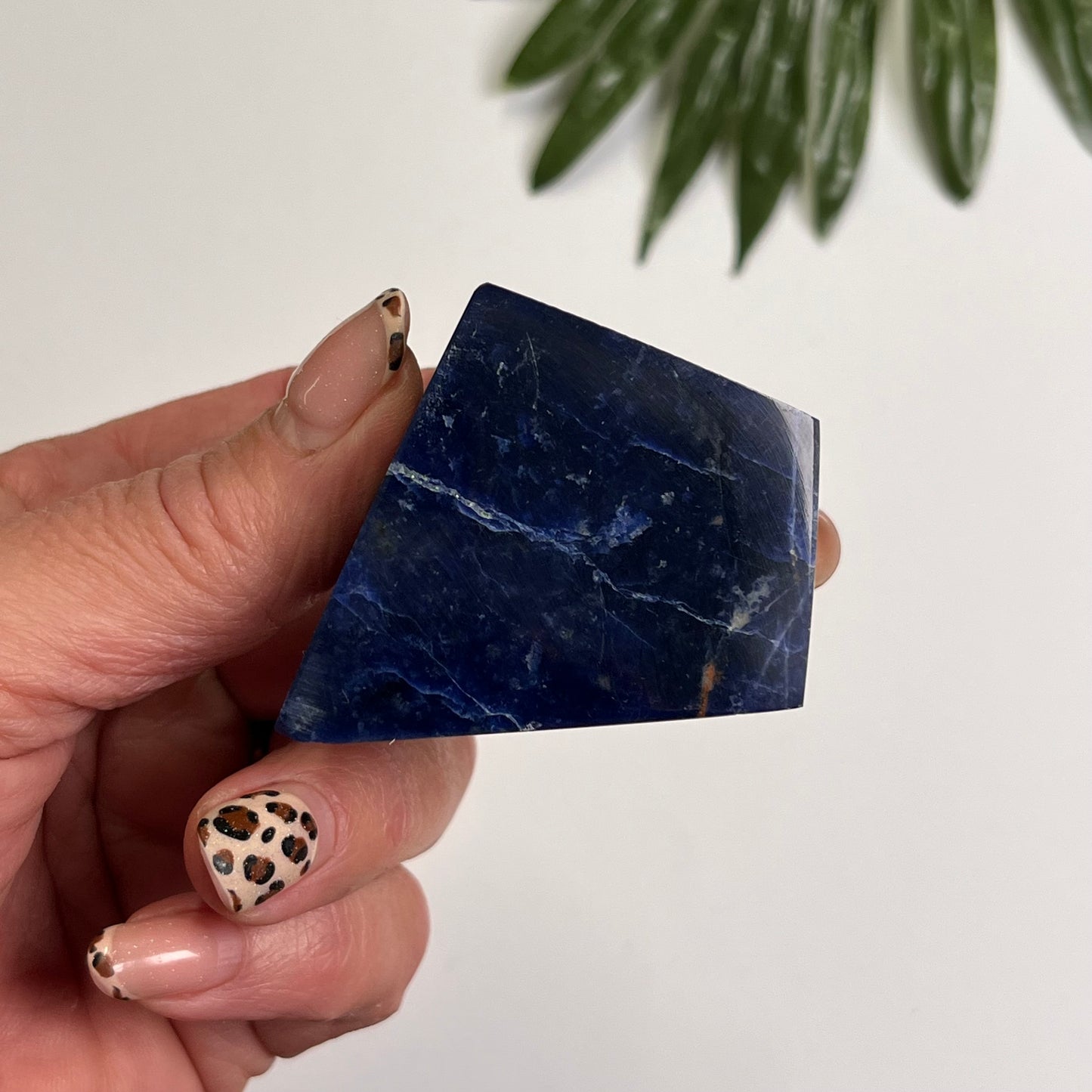Sodalite Freeform #2 (Imperfect)