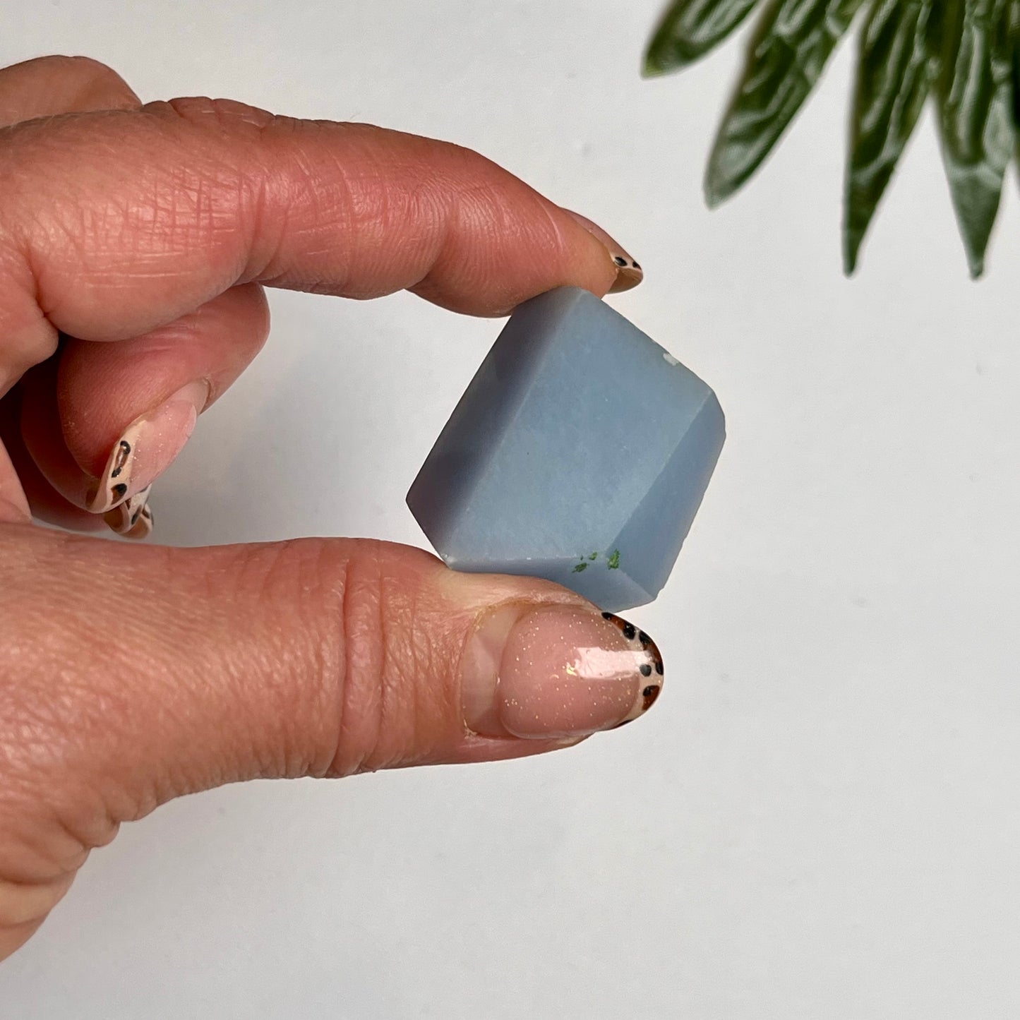 Angelite Freeform #10