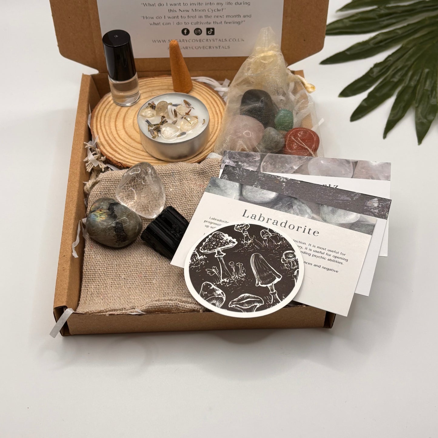 New Moon Ritual Kit