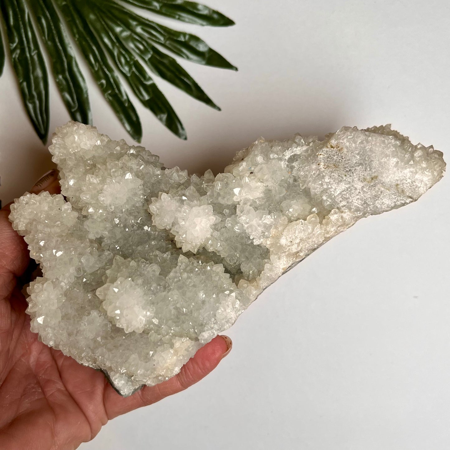 Large Clear Quartz Cluster #2