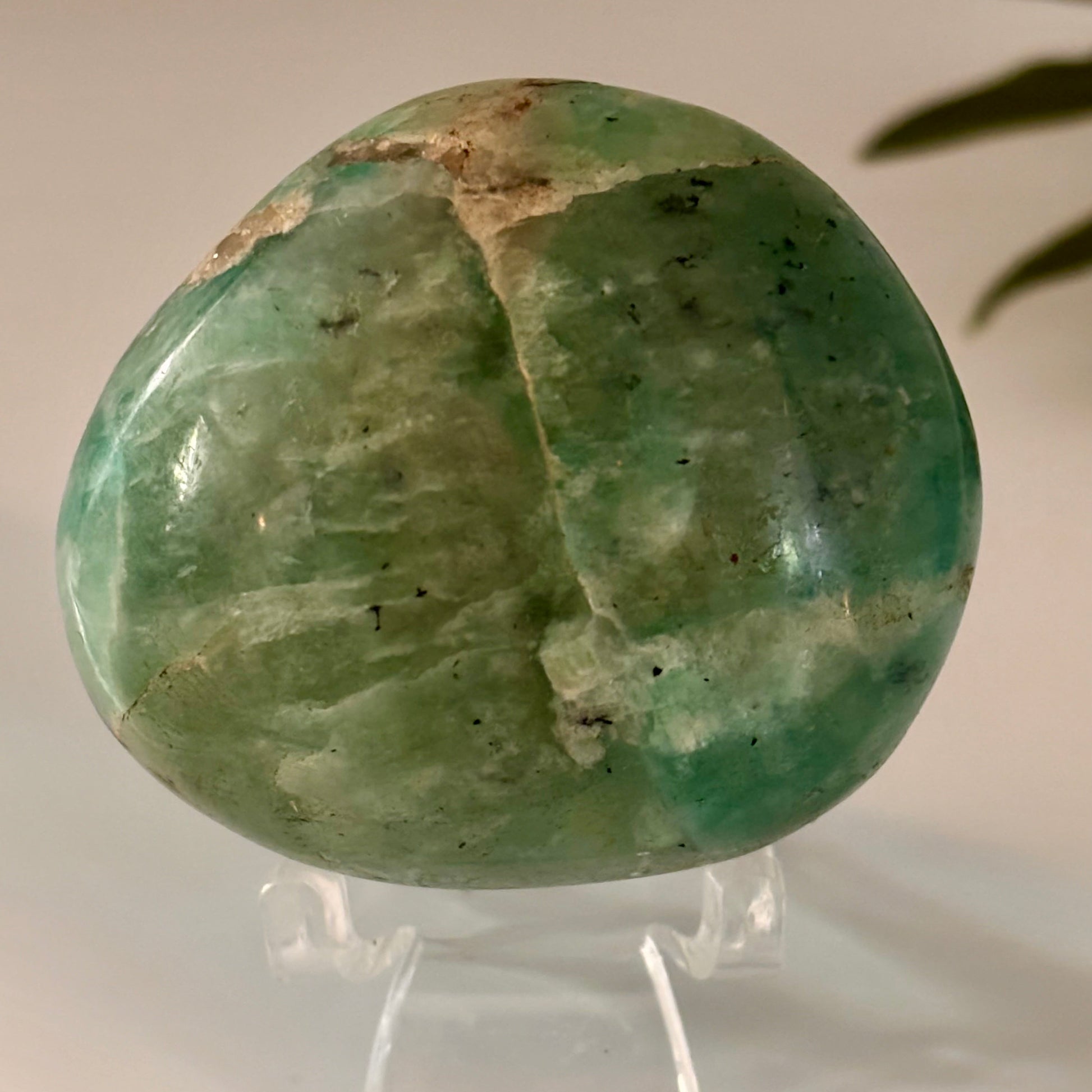 Green amazonite palm stone on a stand with a neutral background