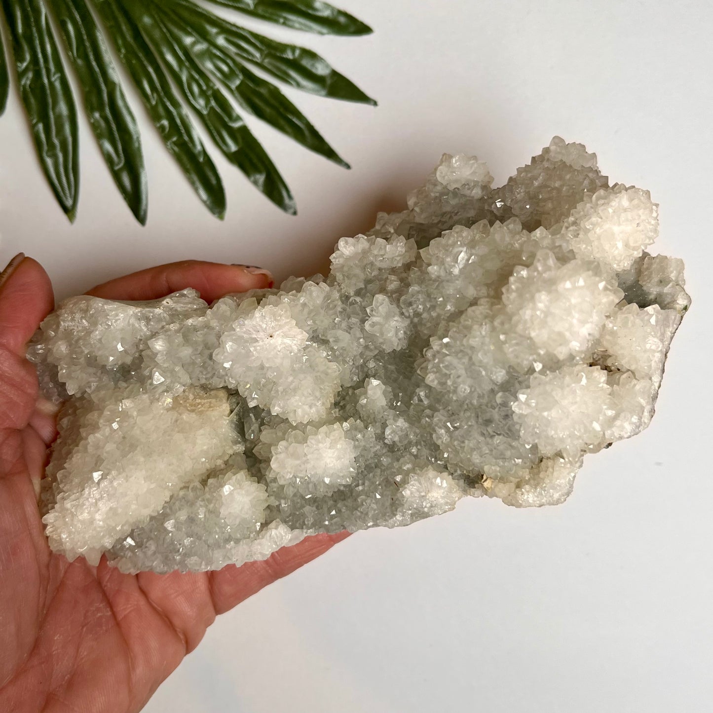Large Clear Quartz Cluster #2