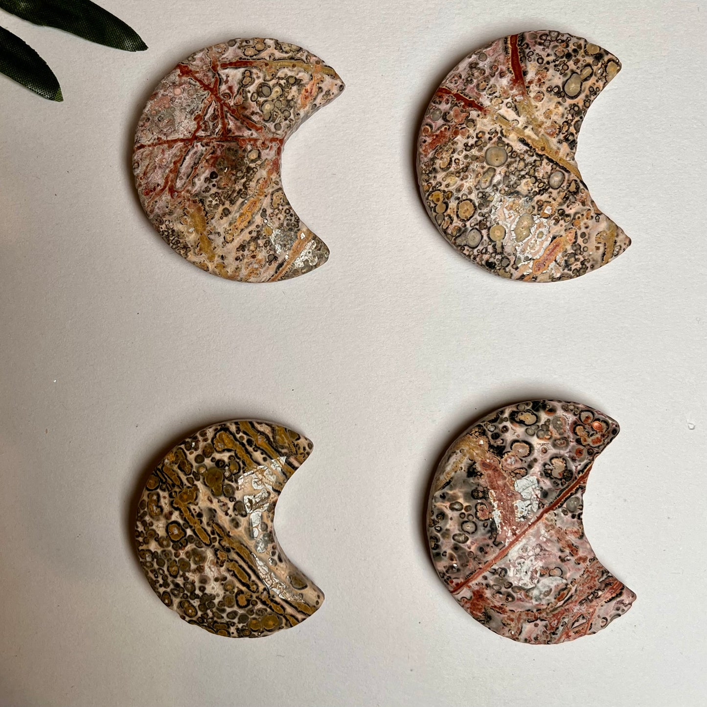 Leopard Skin Jasper Moon