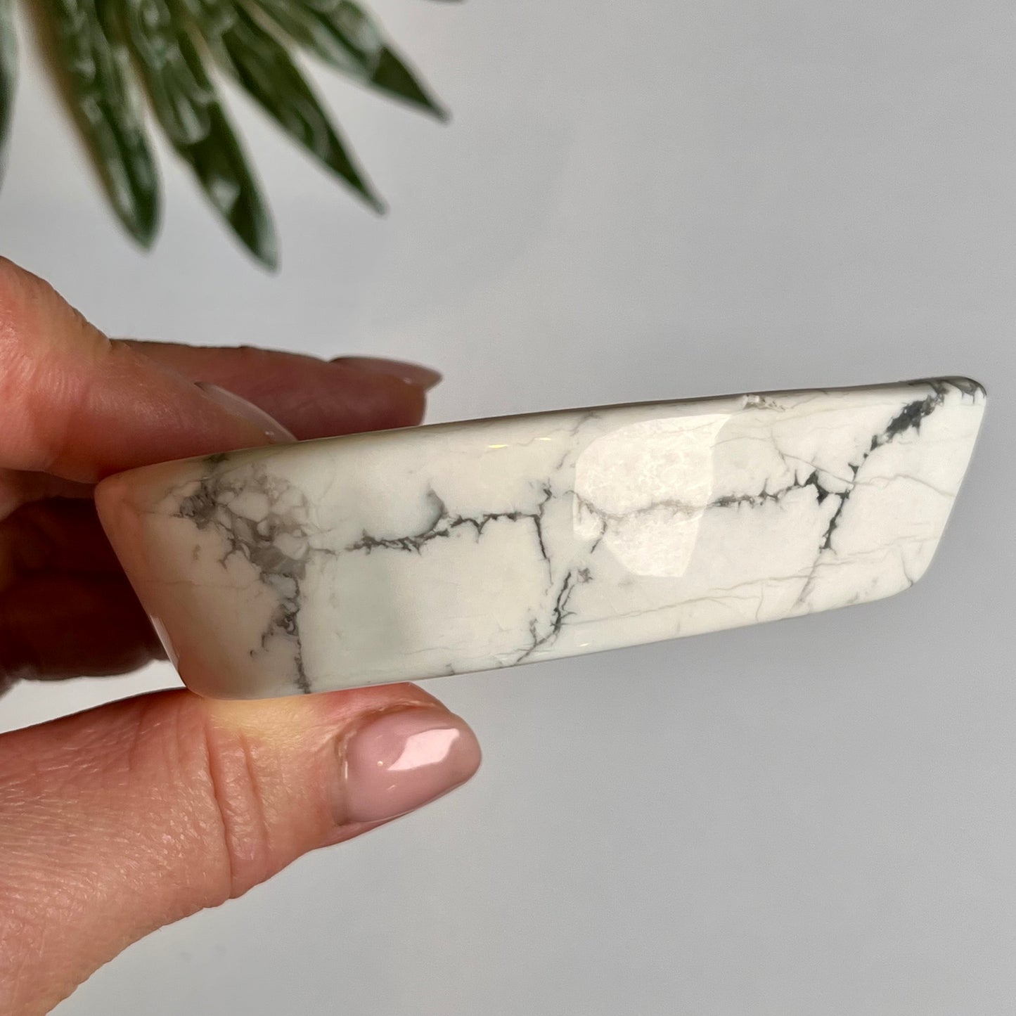 Howlite Tear Shaped Bowl