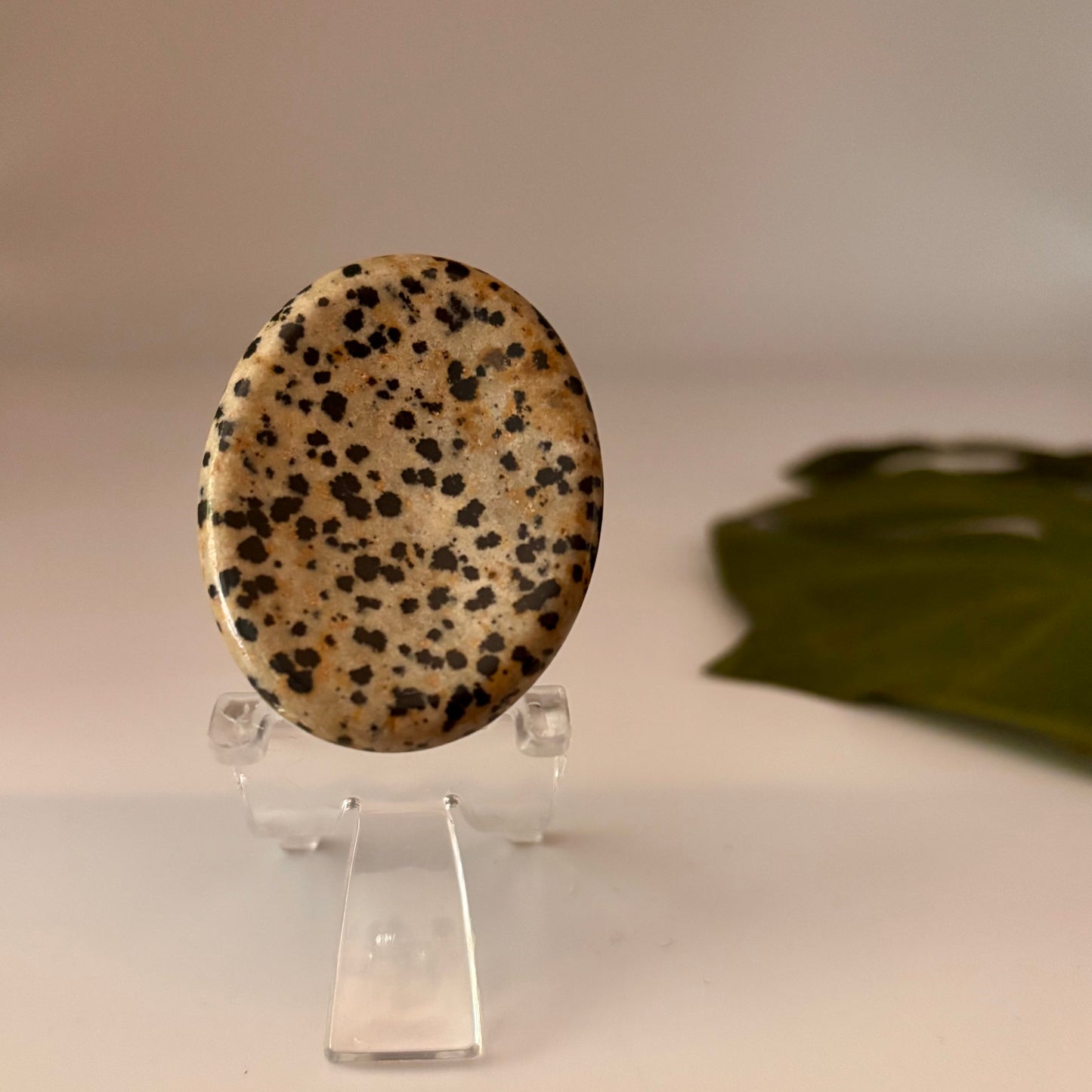 Dalmation Jasper Worry Stone - Oval