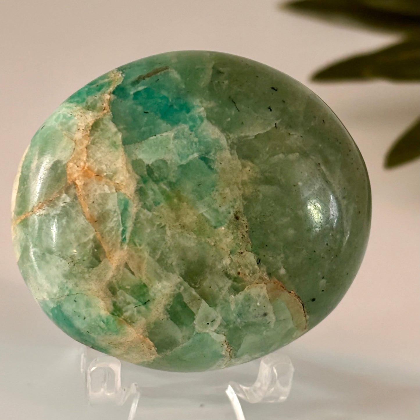 Amazonite Palm Stone #1