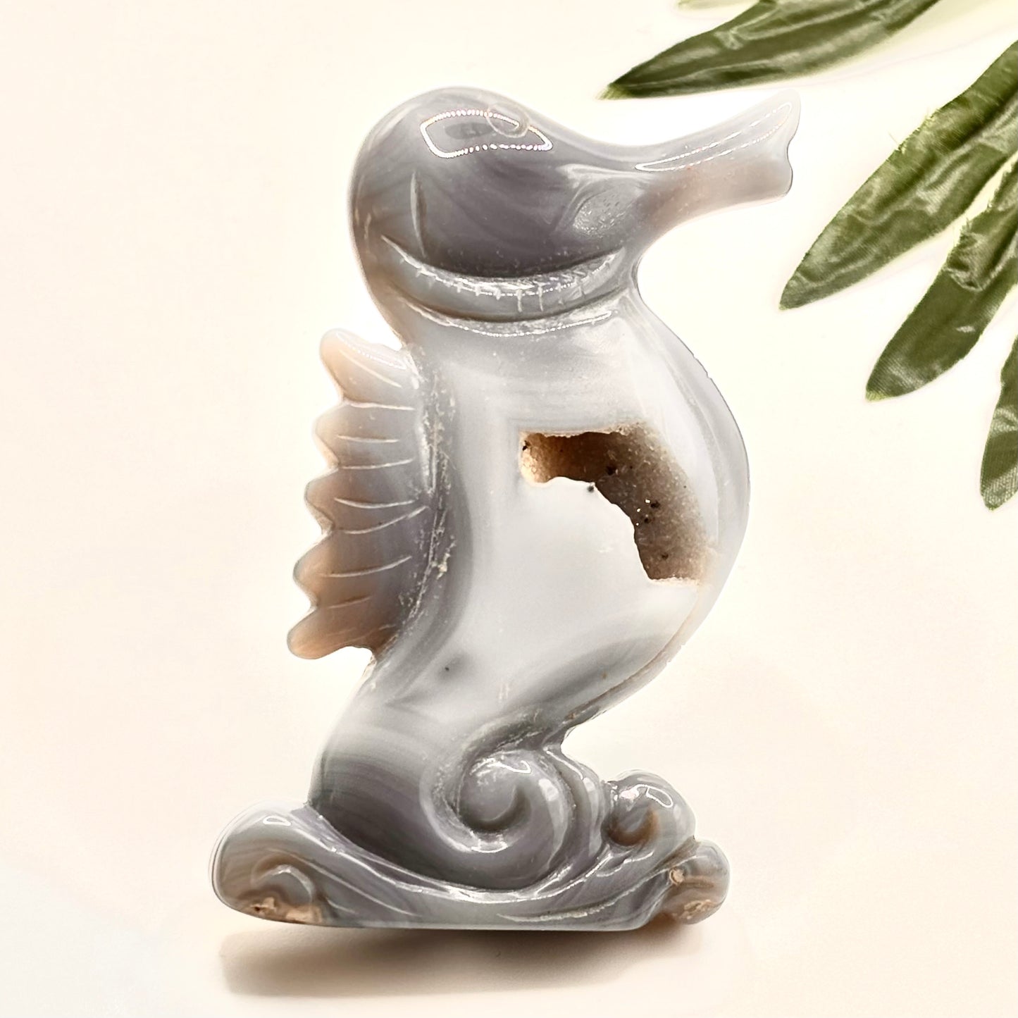 Agate Seahorse #1