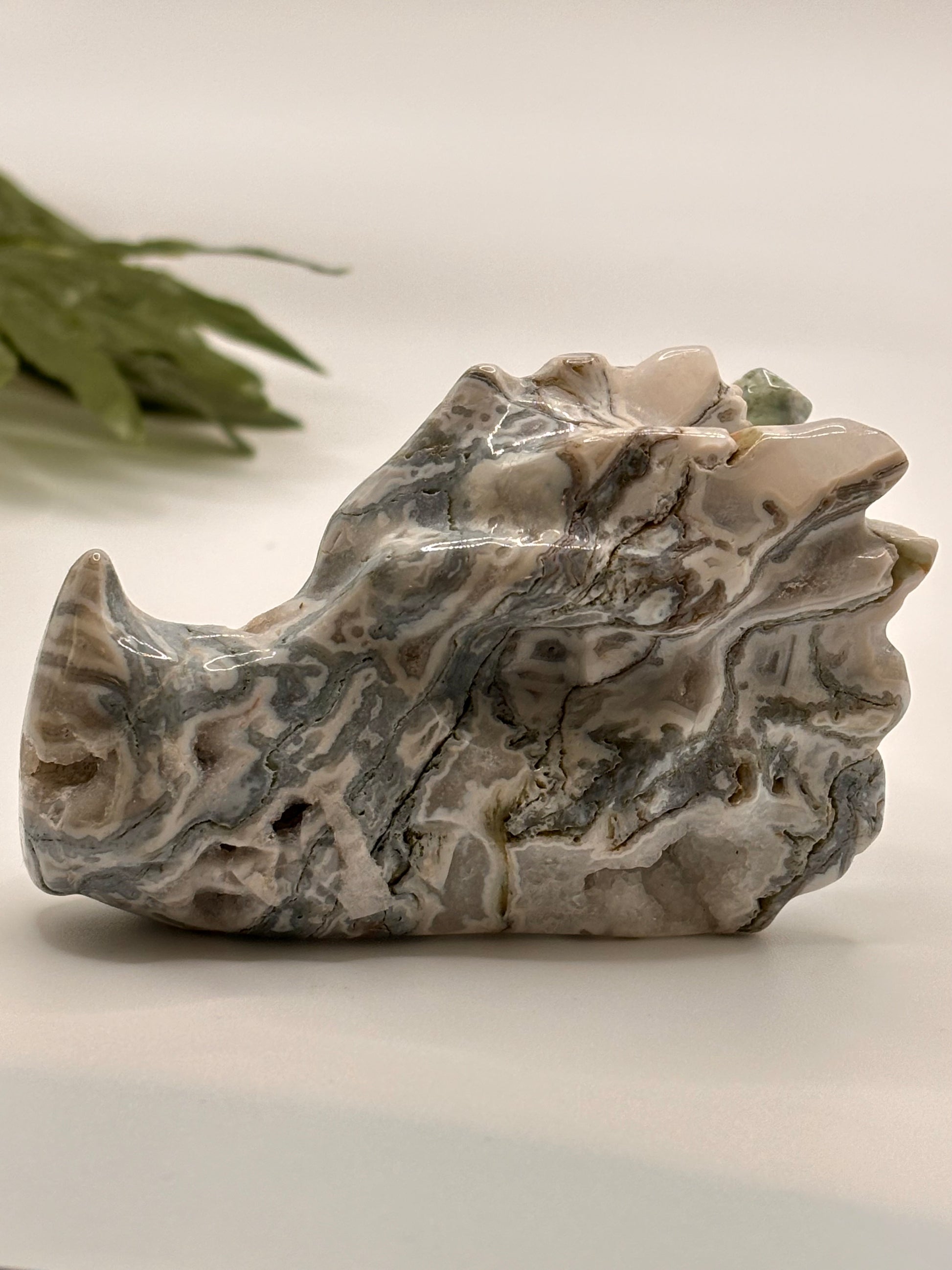 Marble-like green and white dragon head stone on a light background with a plant in the corner