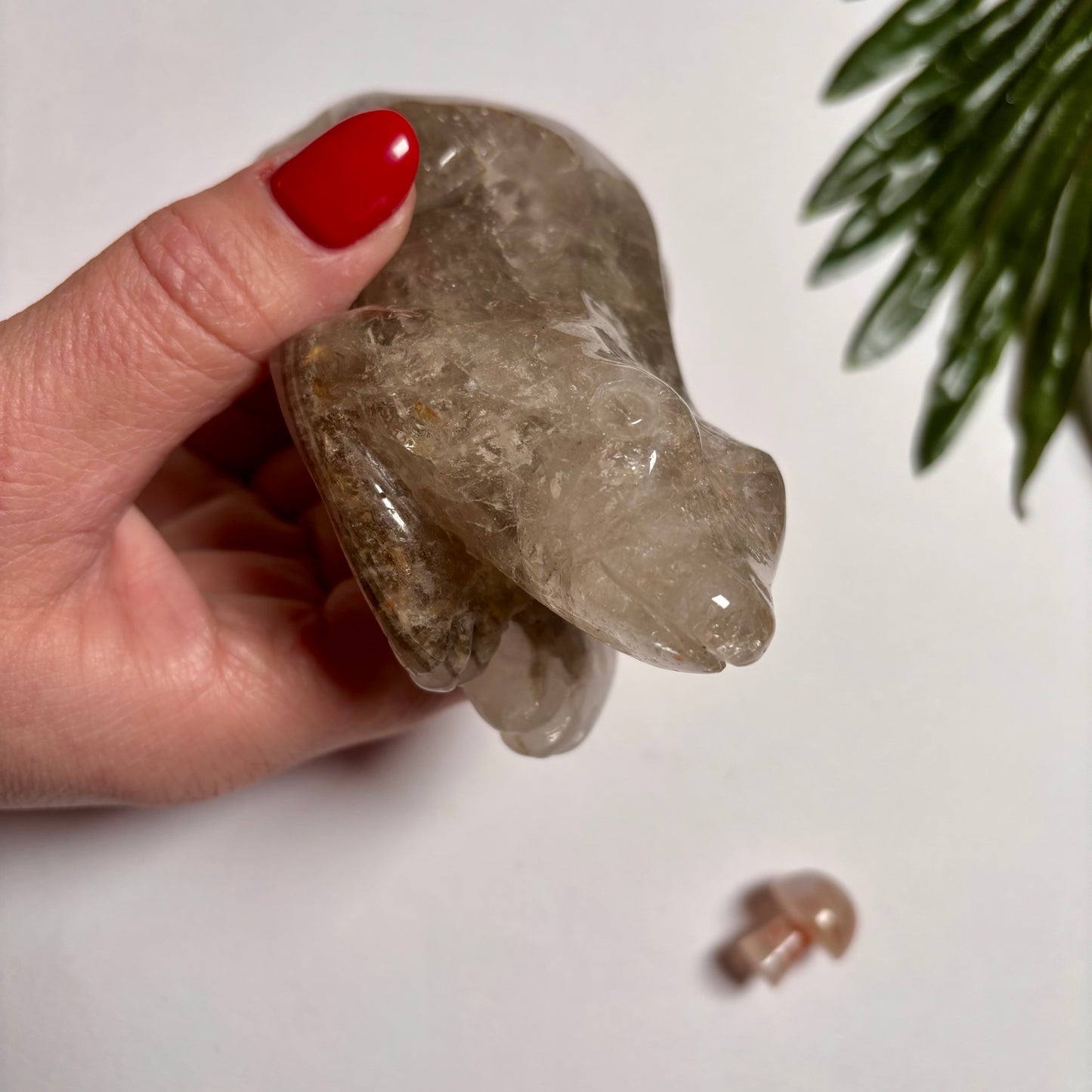 Lodolite - Garden Quartz Frog