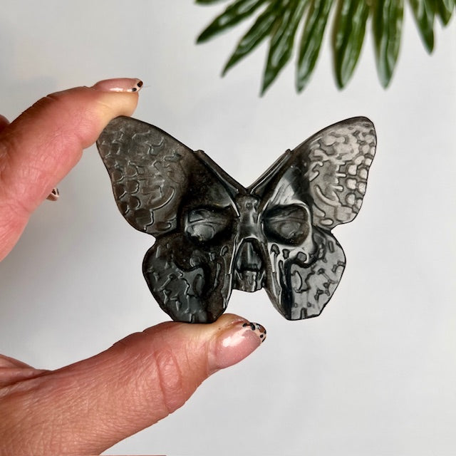 A silver sheen black obsidian skull butterfly with wings, held between fingers on a white background with green foliage in the background.
