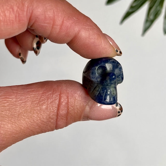 Lucky Dip Mystery Skull