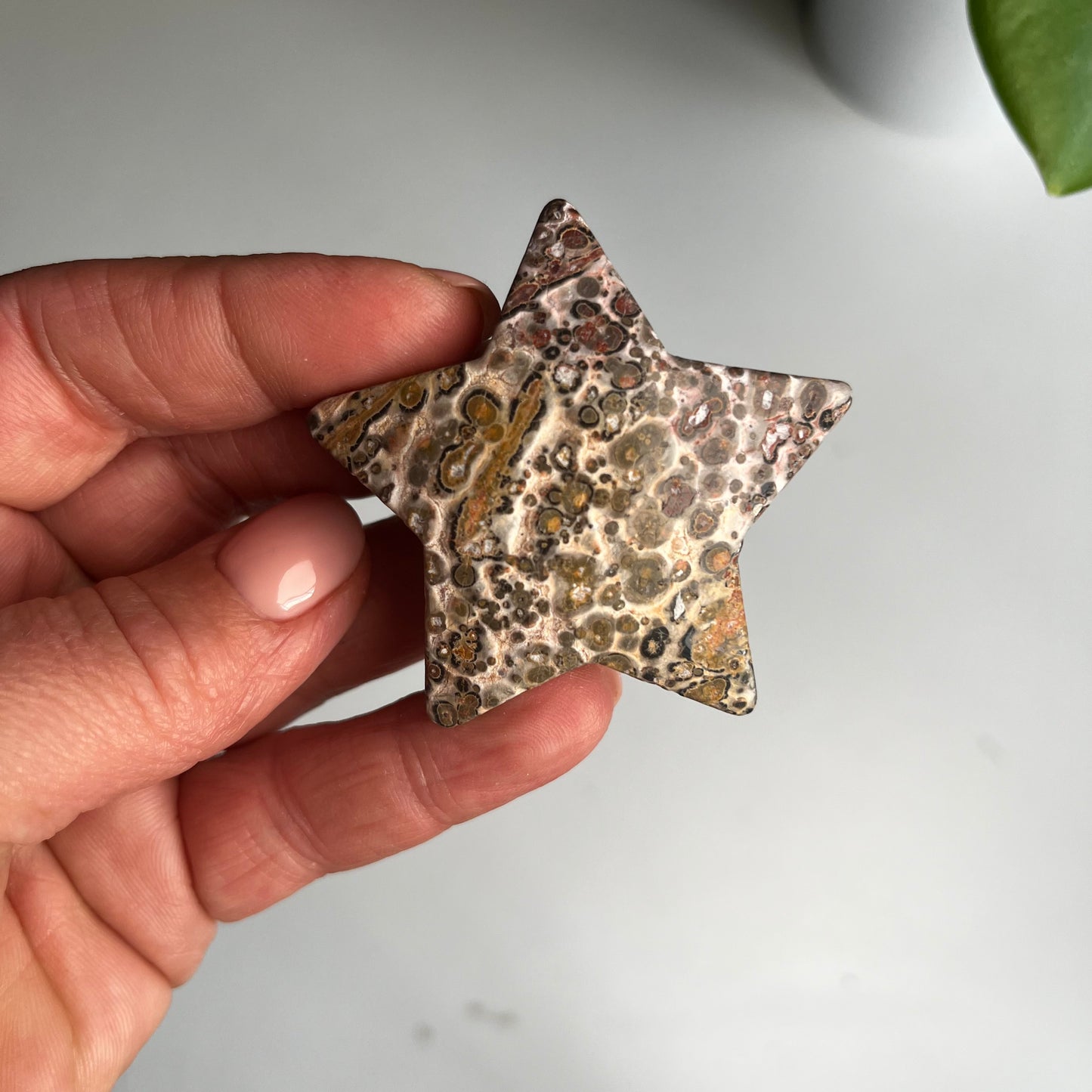 Leopard Skin Star #1