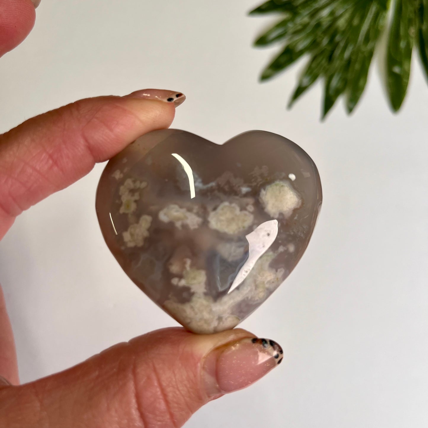 Black Flower Agate Heart