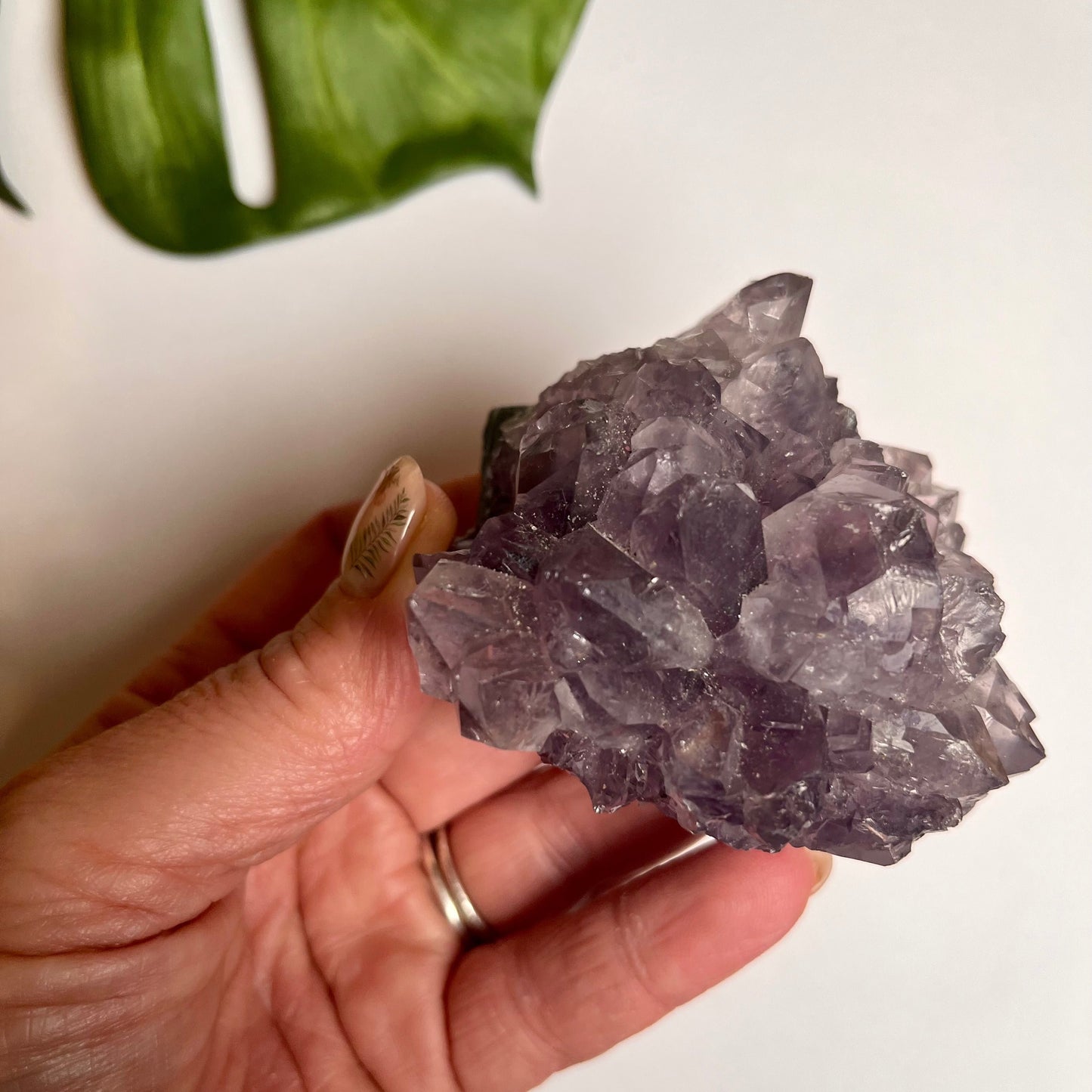 Amethyst Cluster #9