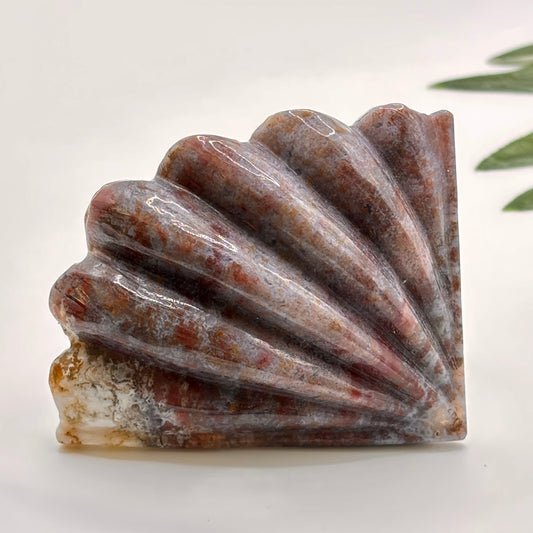 Ocean Jasper Shell #2