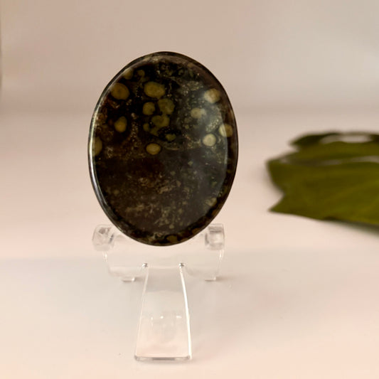 Kambaba Jasper Worry Stone - Oval