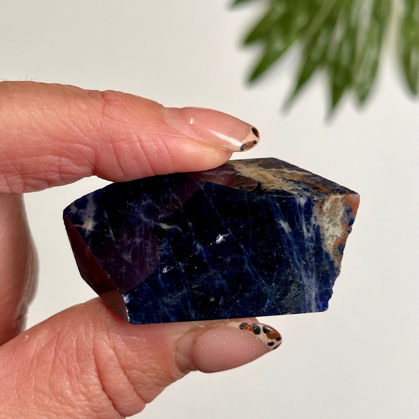 Sodalite Freeform #11