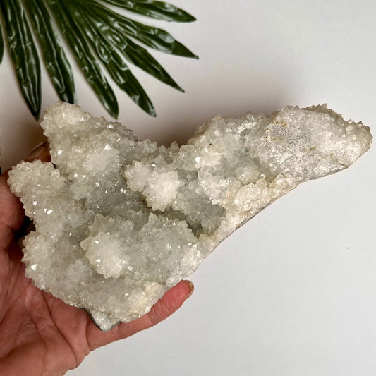 Clear Quartz Cluster #1