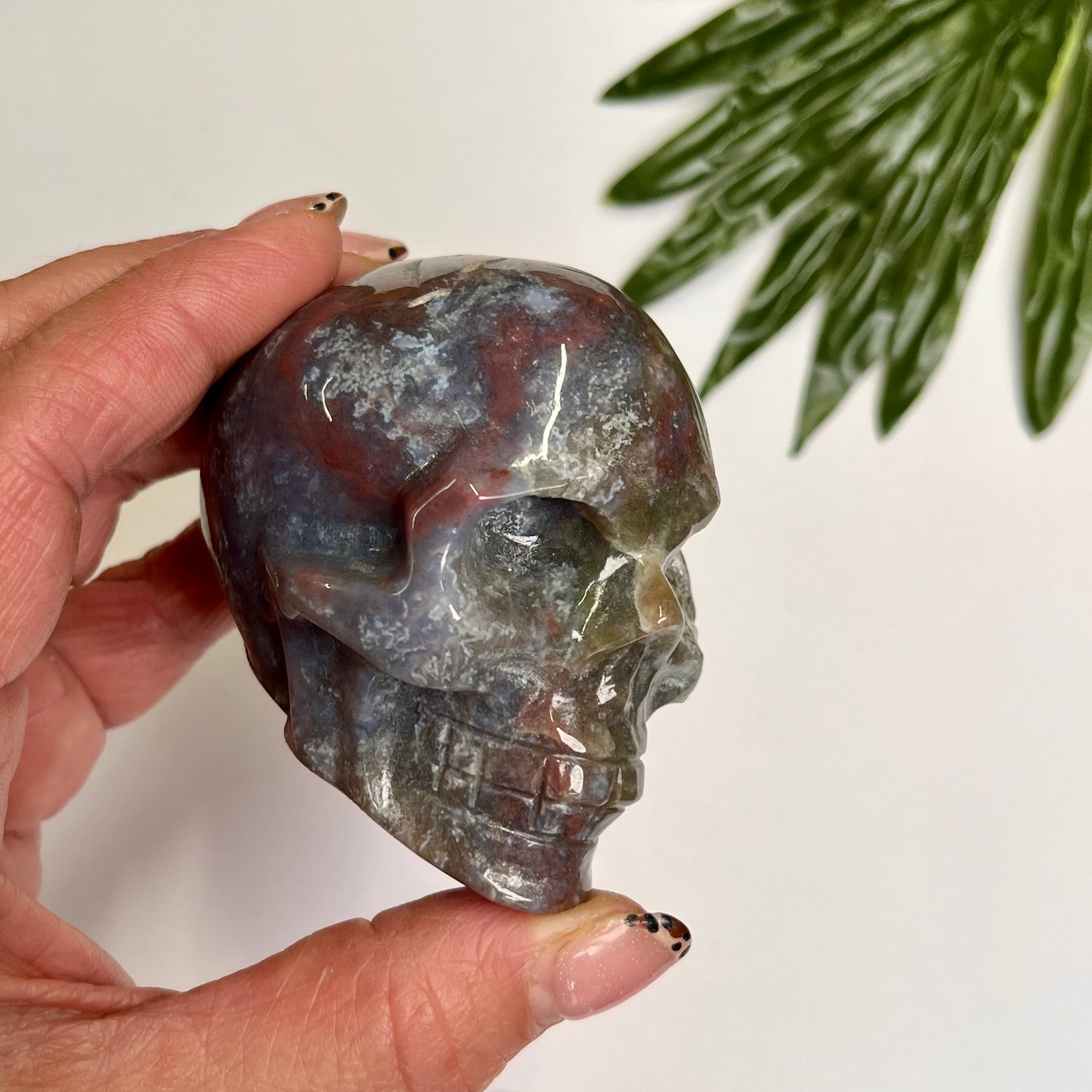 Ocean Jasper Skull