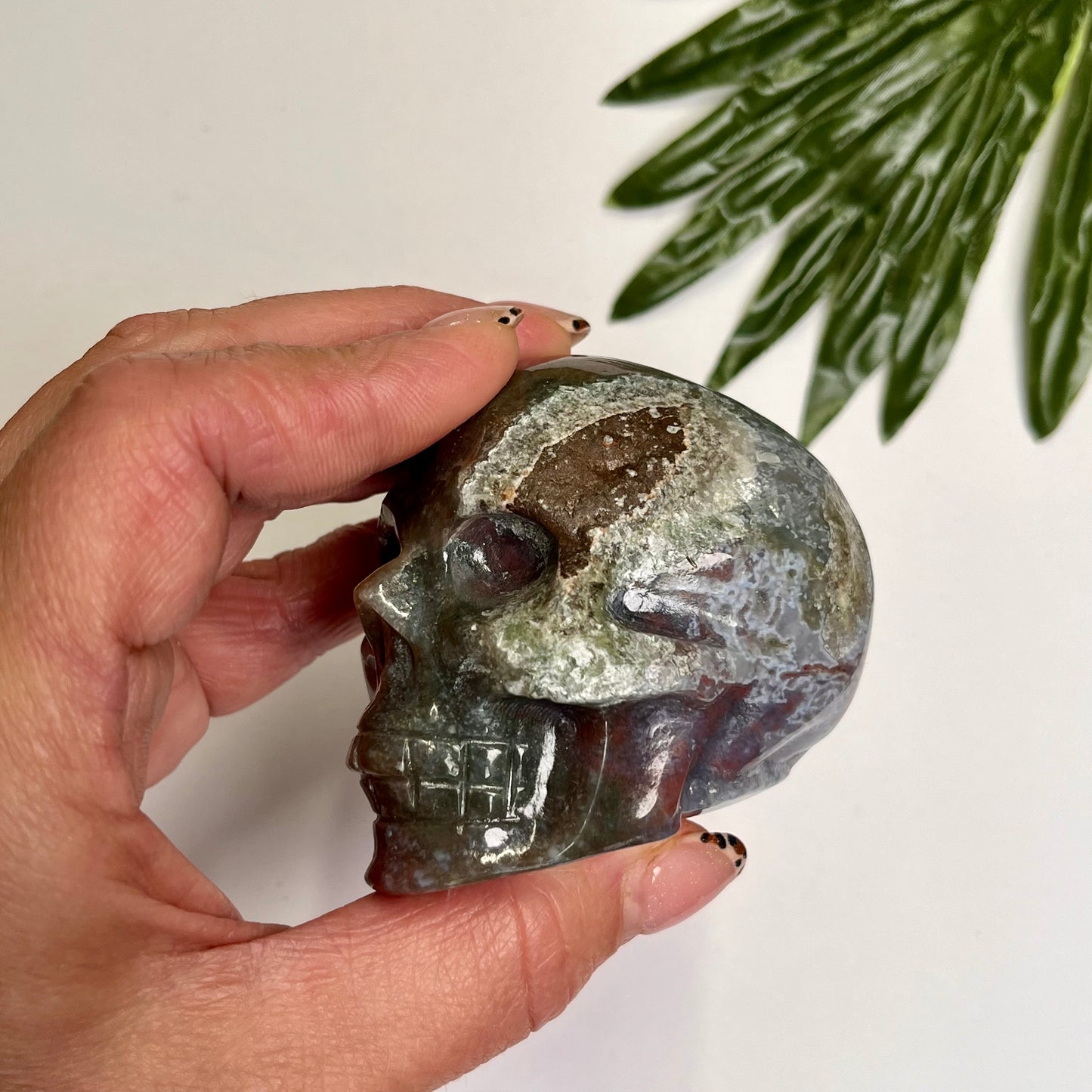 Ocean Jasper Skull