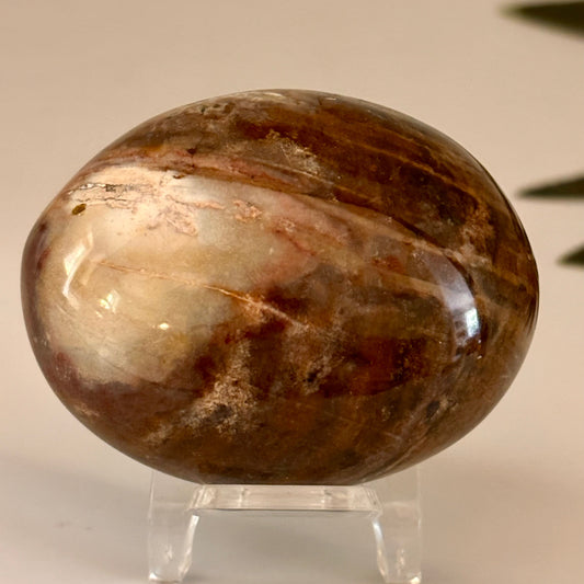 Ocean Jasper Palm Stone #4