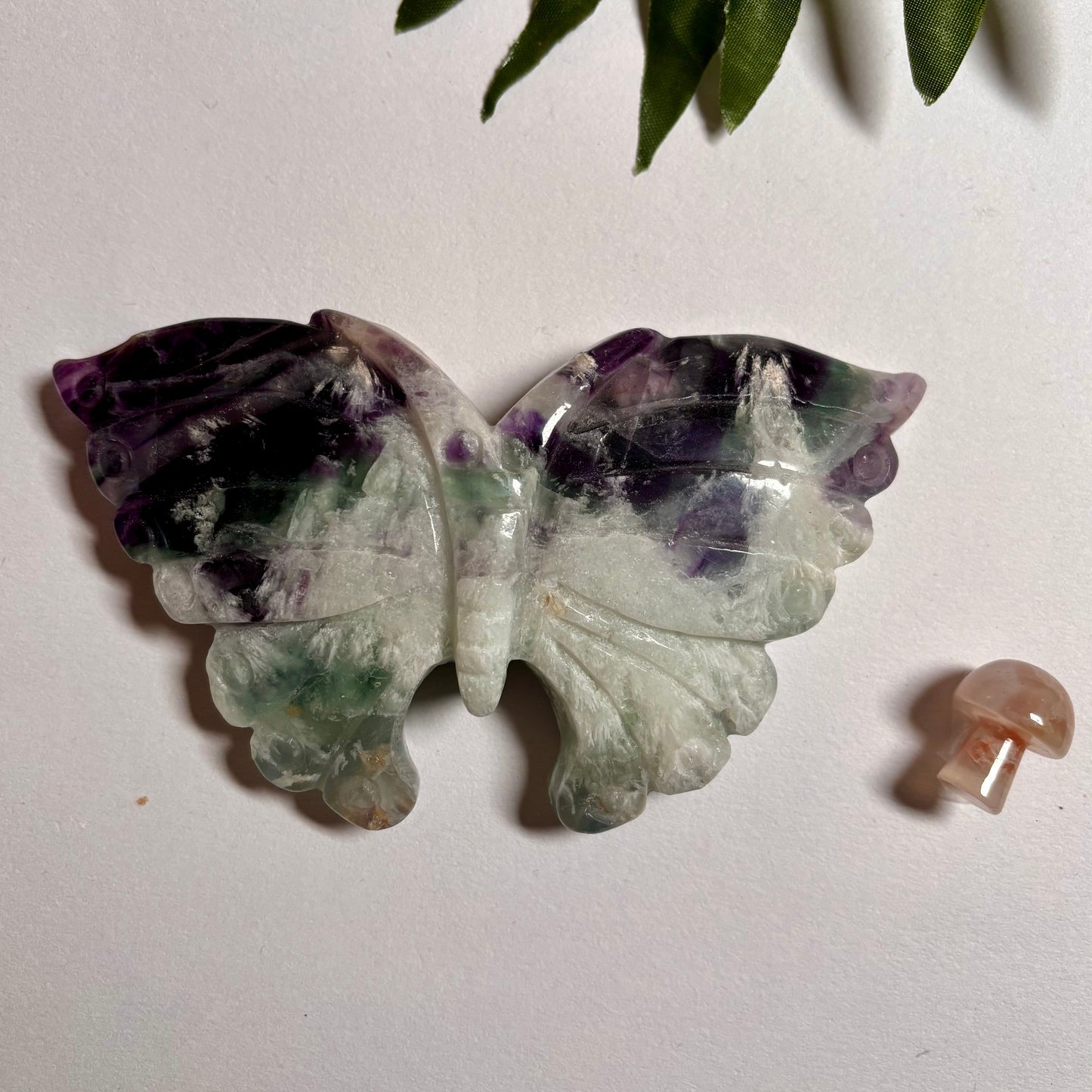 Fluorite Butterfly