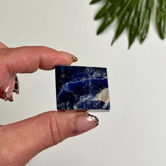 Sodalite Freeform #6