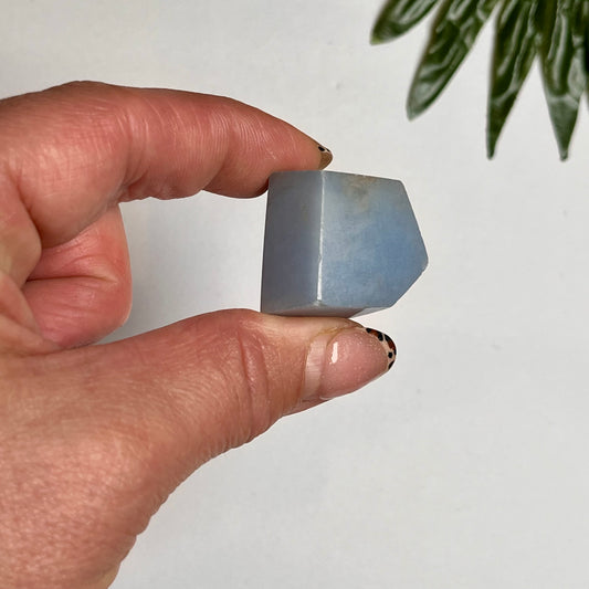 Angelite Freeform #12