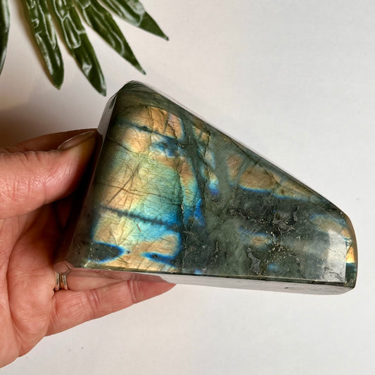 Green Agate Tumble – Sugary Cove Crystals