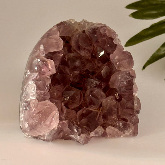 Crystal purple geode with a plant leaf on a neutral background