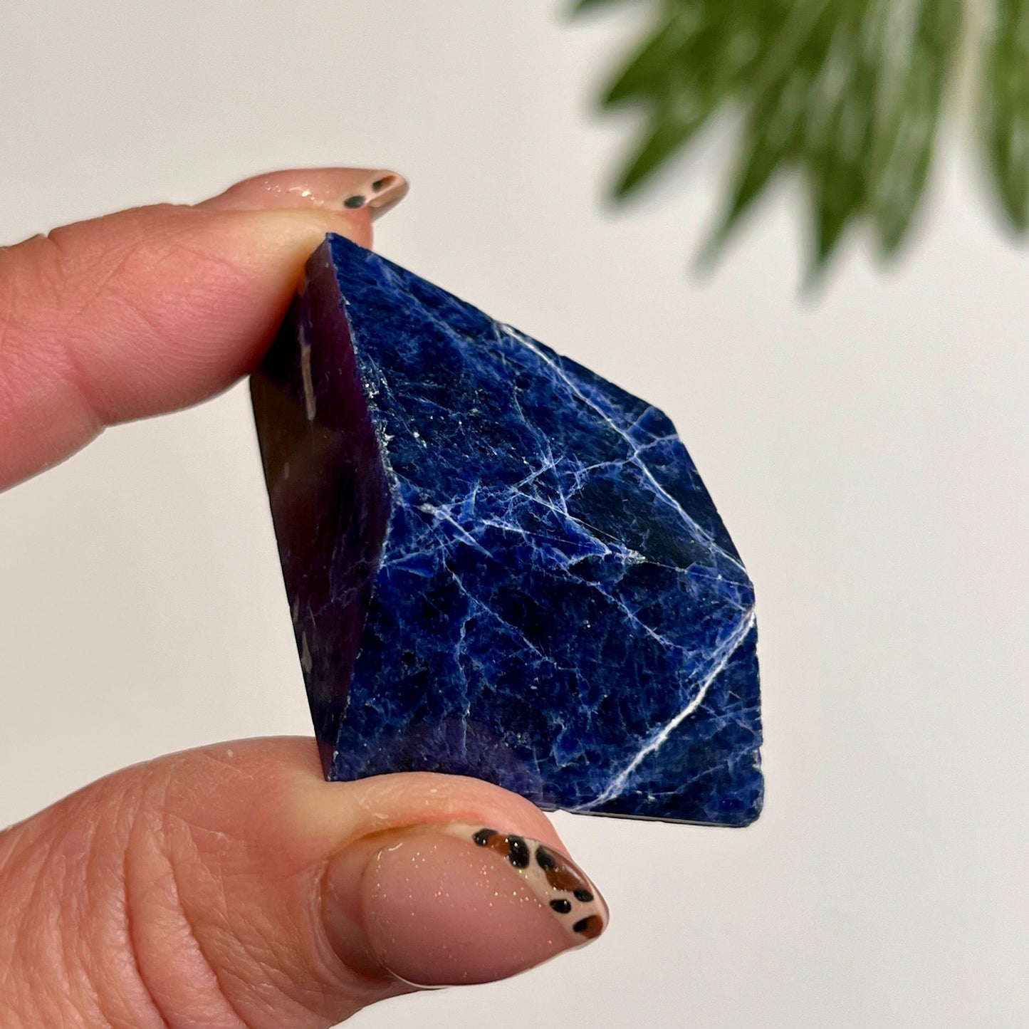 Sodalite Freeform #12