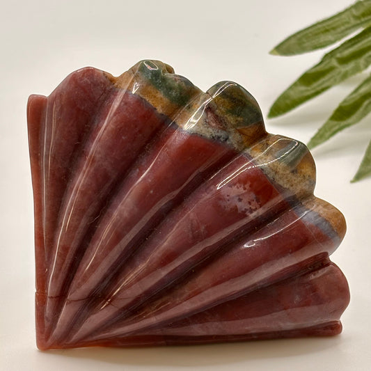 Ocean Jasper Shell #1