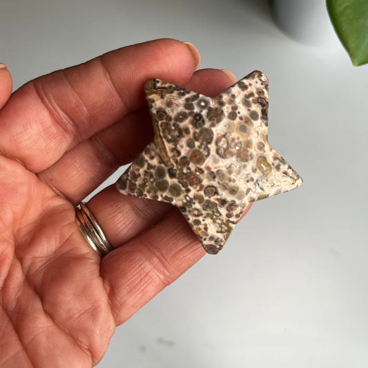 Leopard Skin Star #2