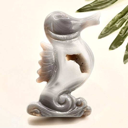 Agate Seahorse #1