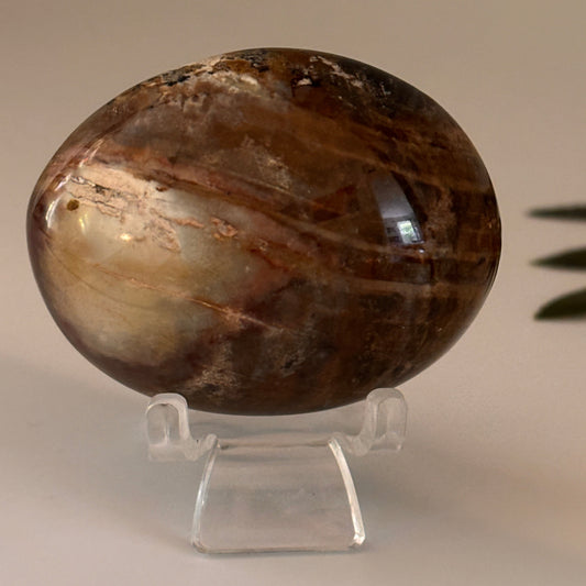 Ocean Jasper Palm Stone #3