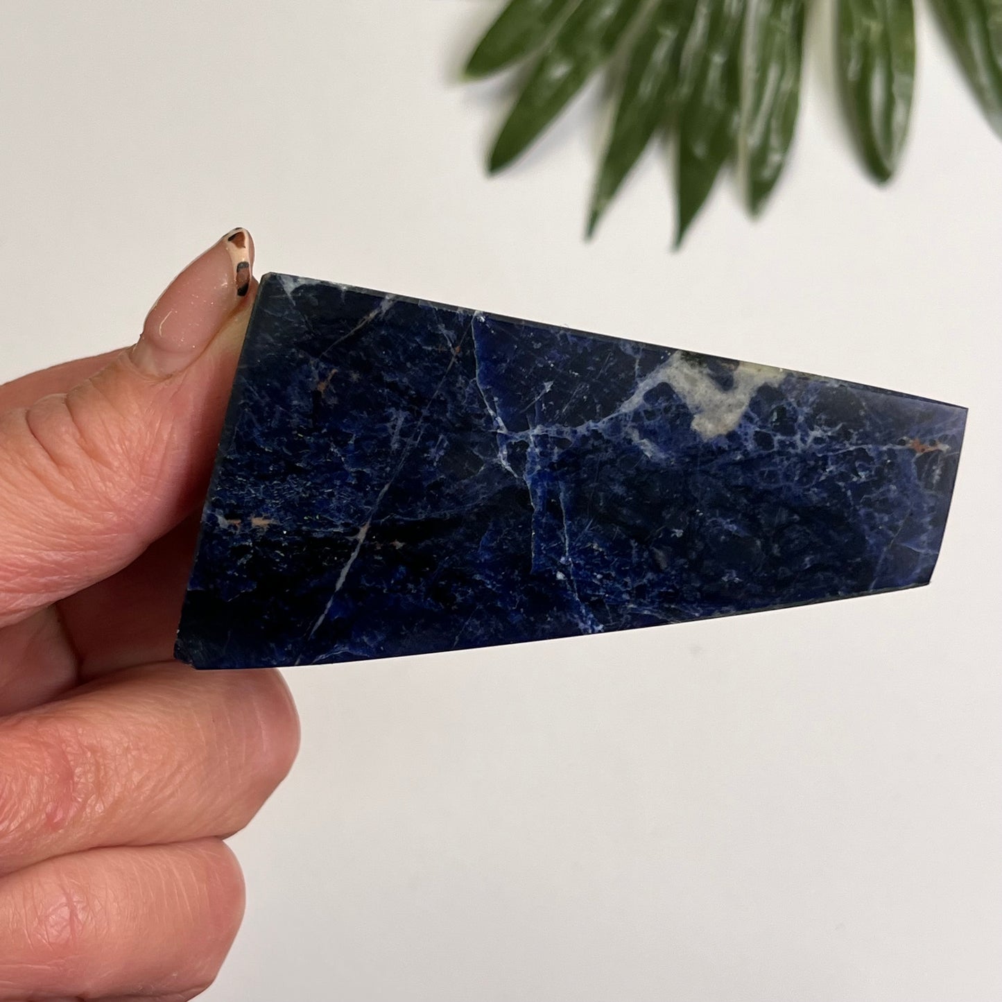 Sodalite Freeform #3