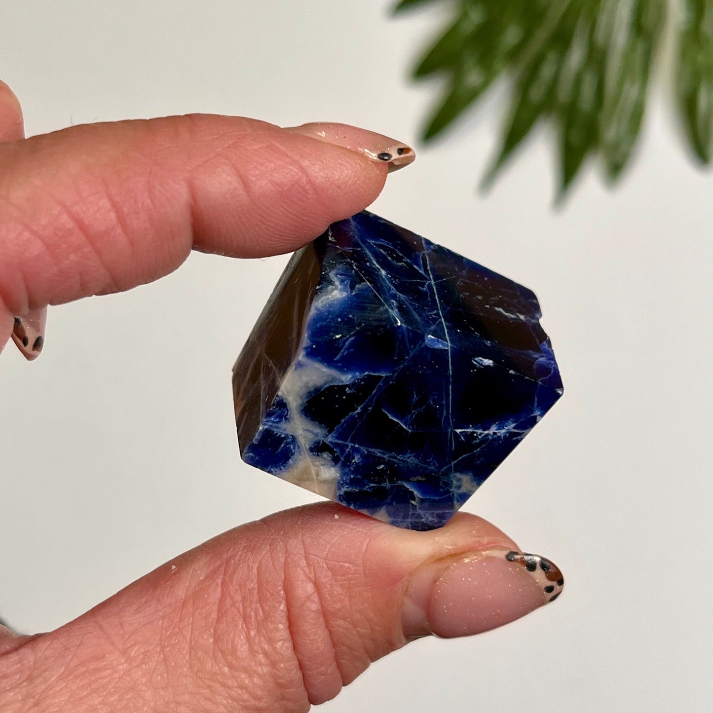 Sodalite Freeform #10