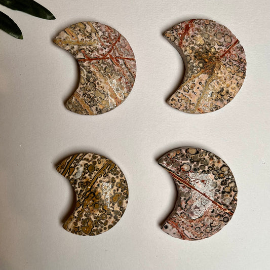 Leopard Skin Jasper Moon