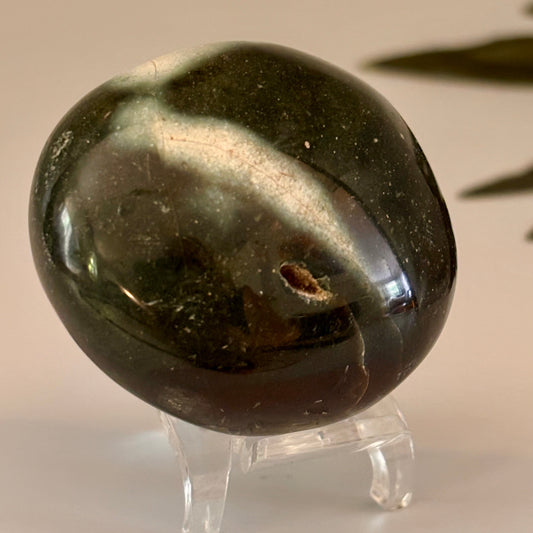 Ocean Jasper Palm Stone #6