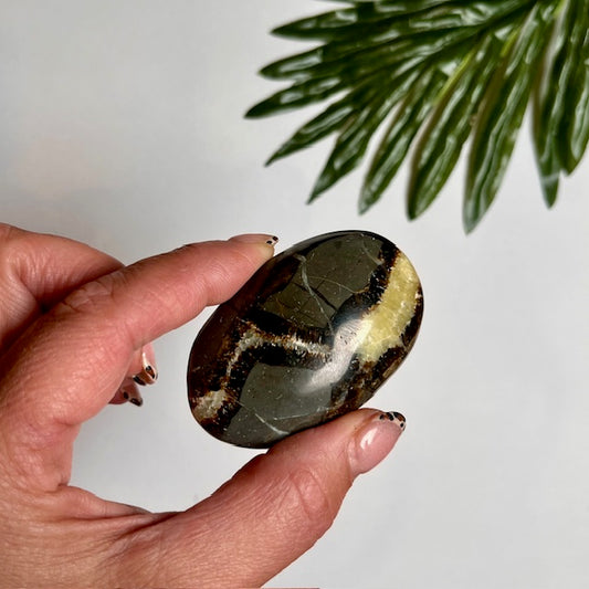 Septarian Jasper Pebble #3