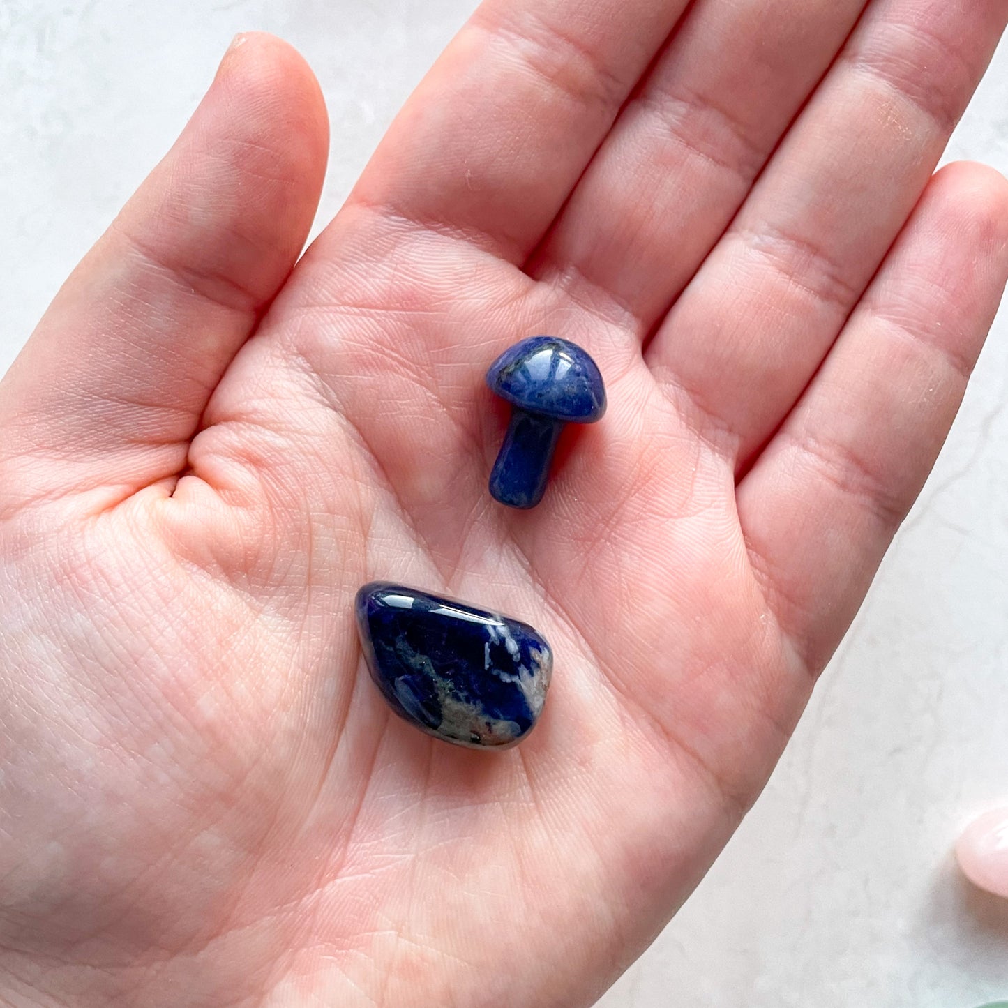 Sodalite Mini Mushroom Pocket Set