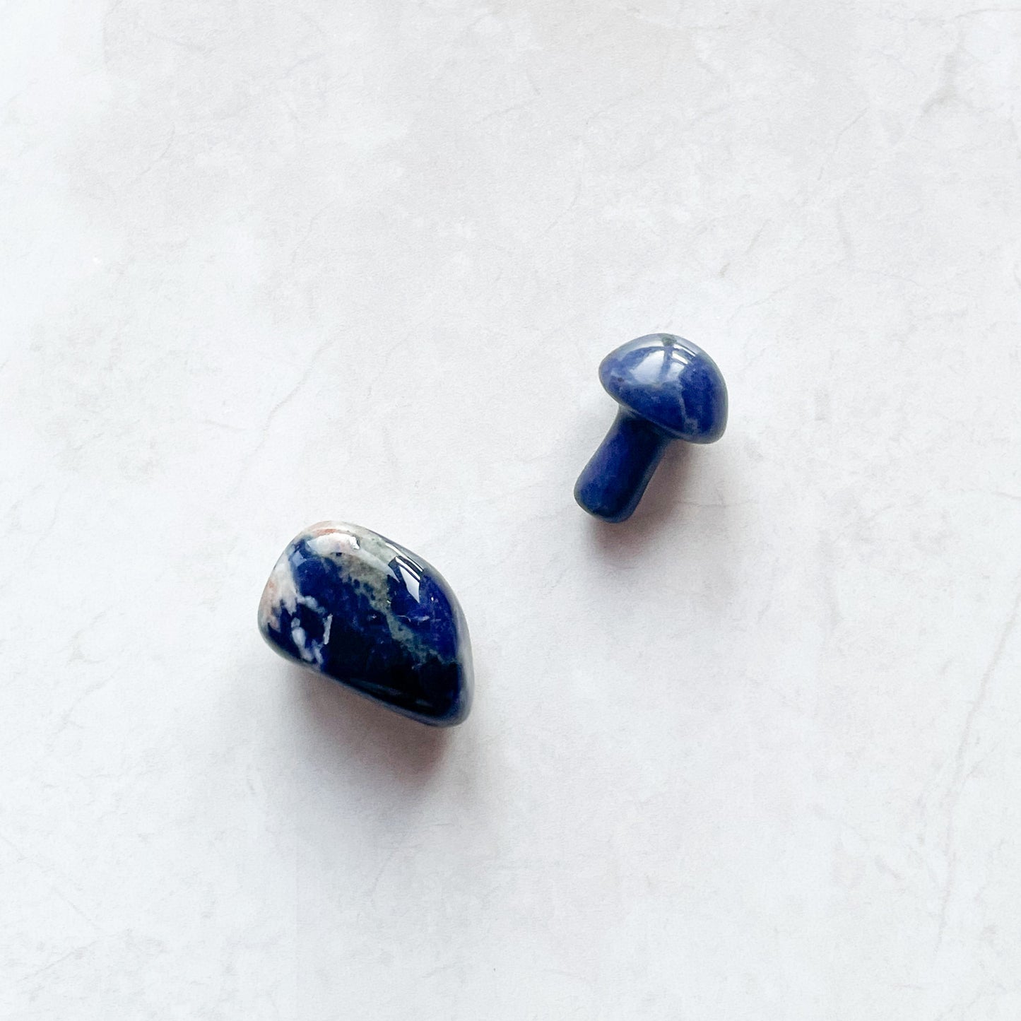 Sodalite Mini Mushroom Pocket Set