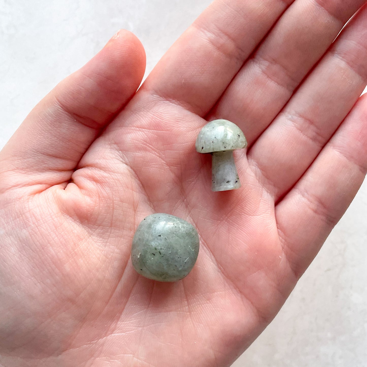 Labradorite Mini Mushroom Pocket Set