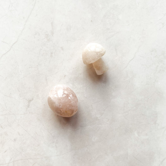 Flower Agate Mini Mushroom Pocket Set