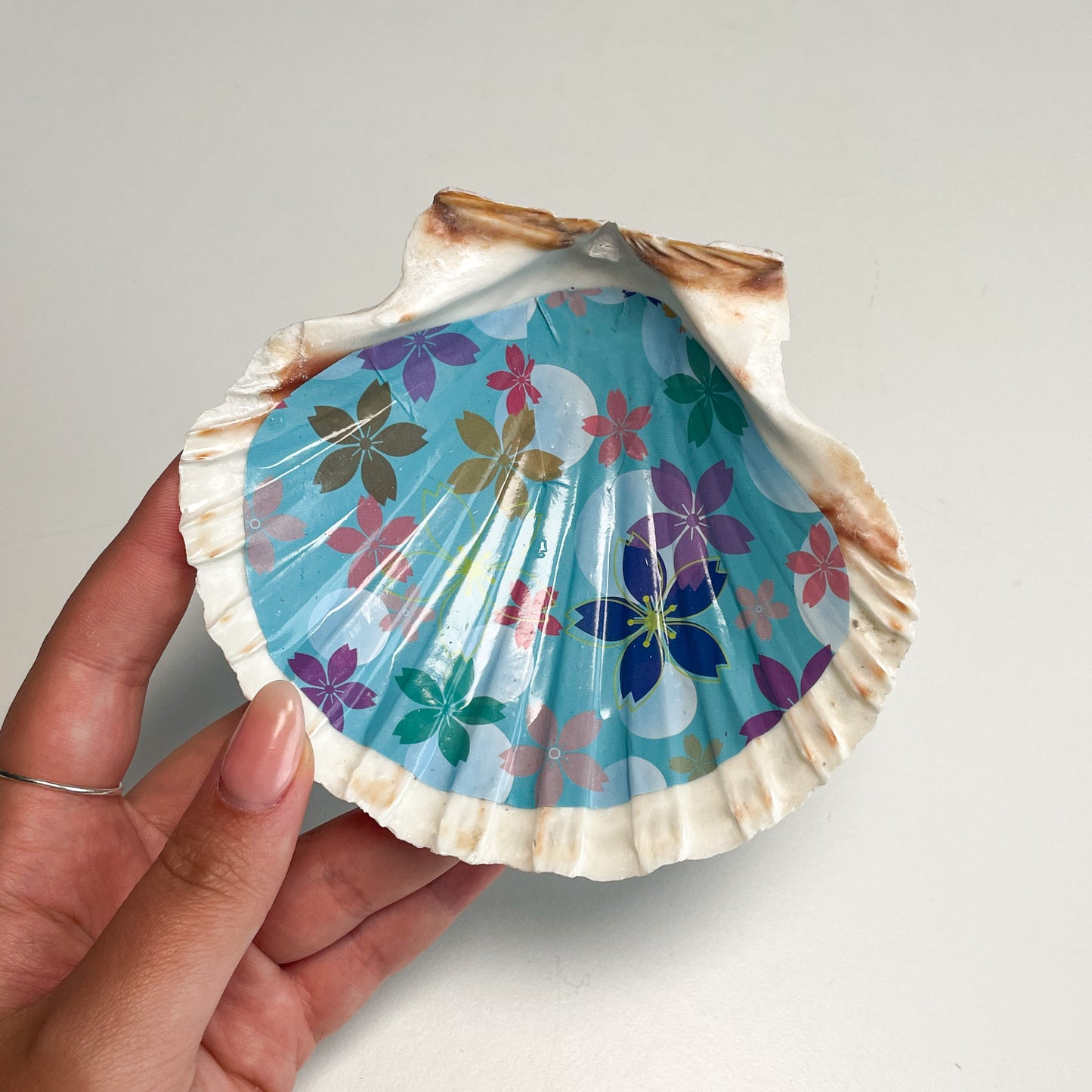 Shell Bowl/Dish #D